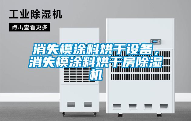 消失模涂料烘干設(shè)備，消失模涂料烘干房除濕機
