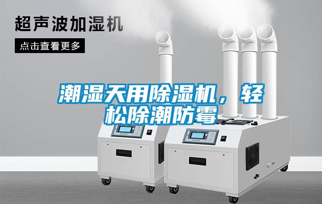 潮濕天用除濕機(jī)，輕松除潮防霉