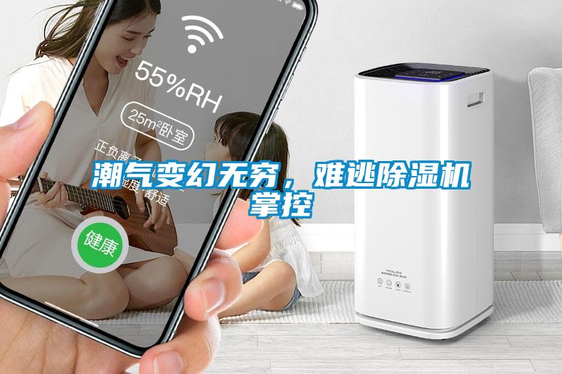 潮氣變幻無窮，難逃除濕機掌控