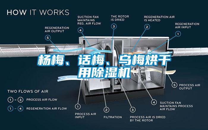楊梅、話梅、烏梅烘干用除濕機