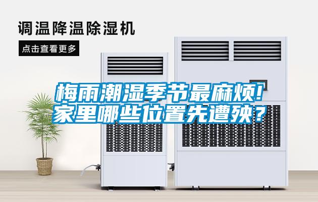 梅雨潮濕季節(jié)最麻煩!家里哪些位置先遭殃？