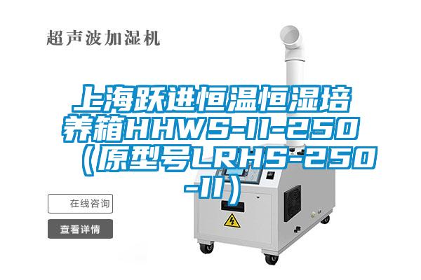 上海躍進(jìn)恒溫恒濕培養(yǎng)箱HHWS-II-250（原型號(hào)LRHS-250-II）
