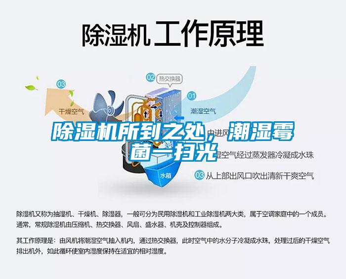 除濕機(jī)所到之處，潮濕霉菌一掃光