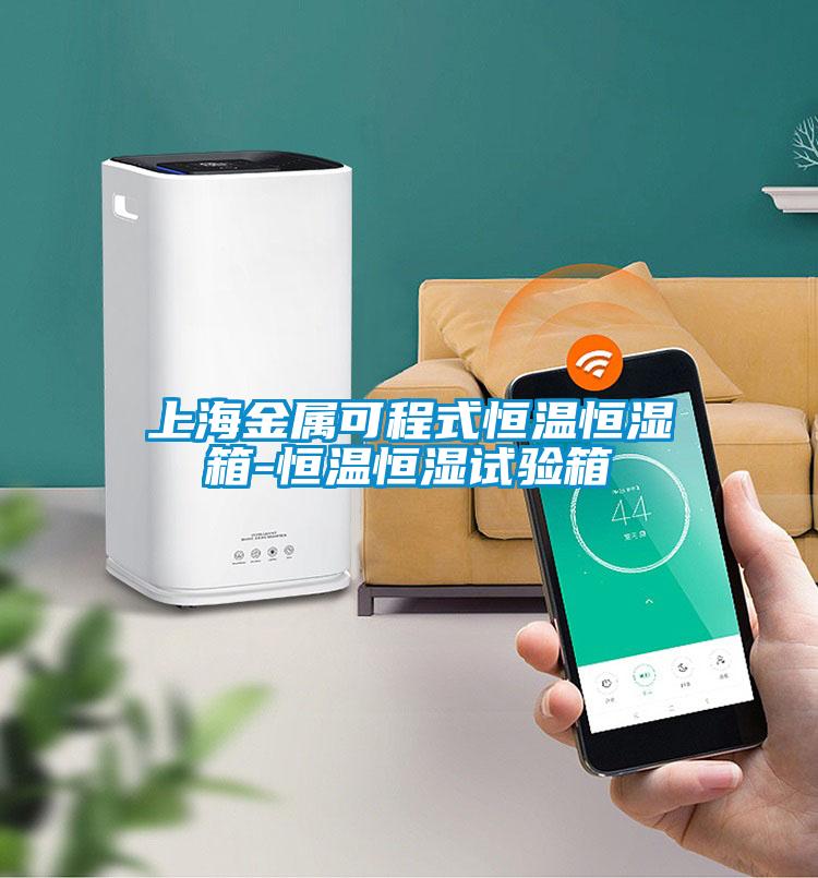 上海金屬可程式恒溫恒濕箱-恒溫恒濕試驗(yàn)箱