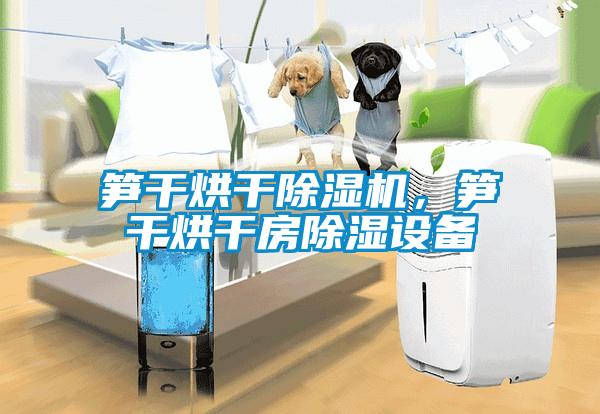 筍干烘干除濕機(jī)，筍干烘干房除濕設(shè)備