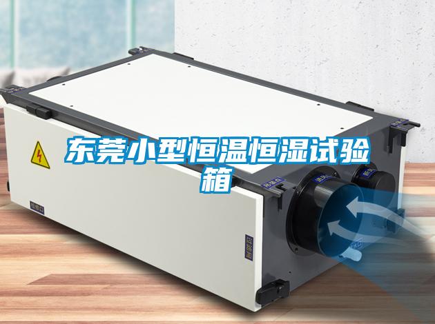 東莞小型恒溫恒濕試驗(yàn)箱