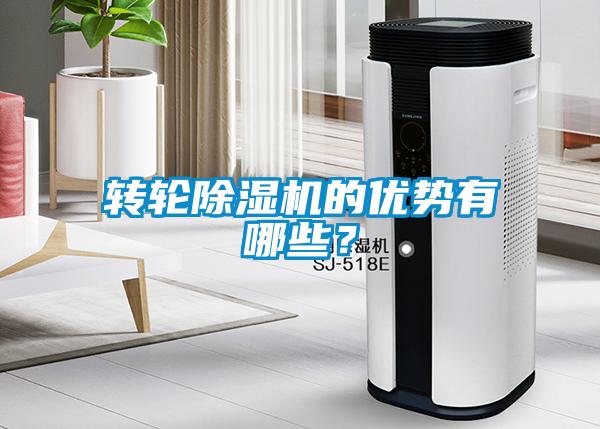 轉(zhuǎn)輪除濕機(jī)的優(yōu)勢有哪些？