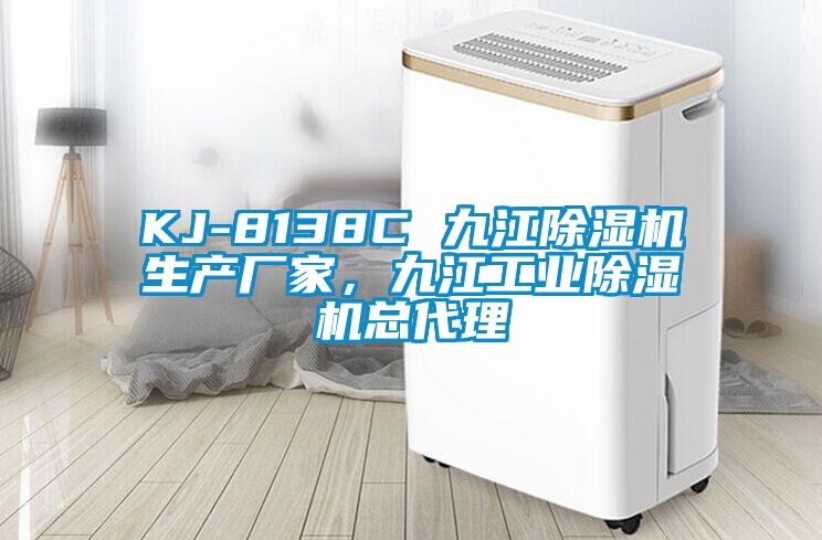 KJ-8138C 九江除濕機生產(chǎn)廠家，九江工業(yè)除濕機總代理
