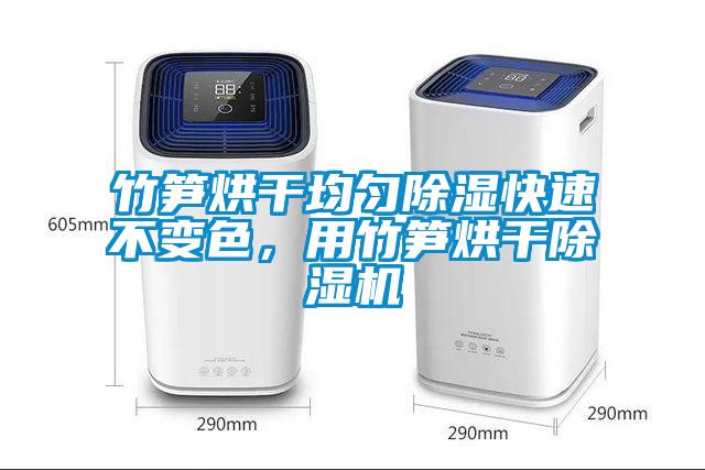 竹筍烘干均勻除濕快速不變色，用竹筍烘干除濕機(jī)