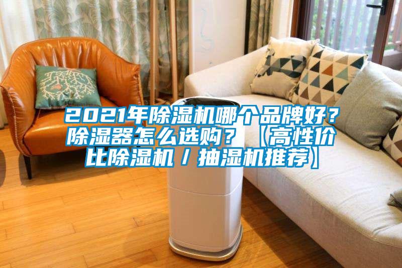 2021年除濕機(jī)哪個(gè)品牌好？除濕器怎么選購(gòu)？【高性價(jià)比除濕機(jī)／抽濕機(jī)推薦】