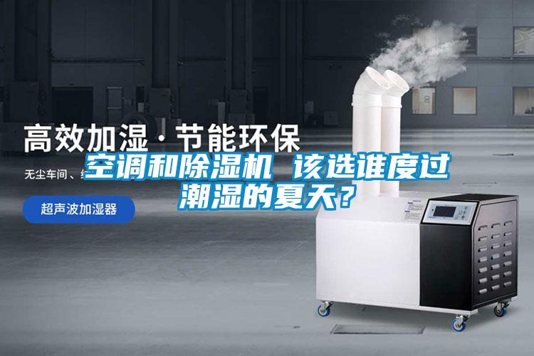 空調(diào)和除濕機(jī) 該選誰度過潮濕的夏天？