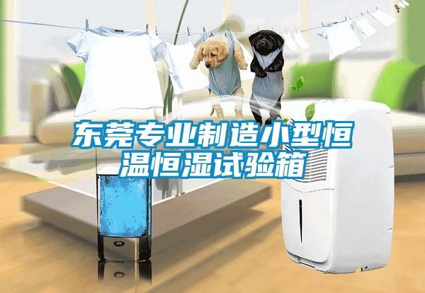 東莞專(zhuān)業(yè)制造小型恒溫恒濕試驗(yàn)箱