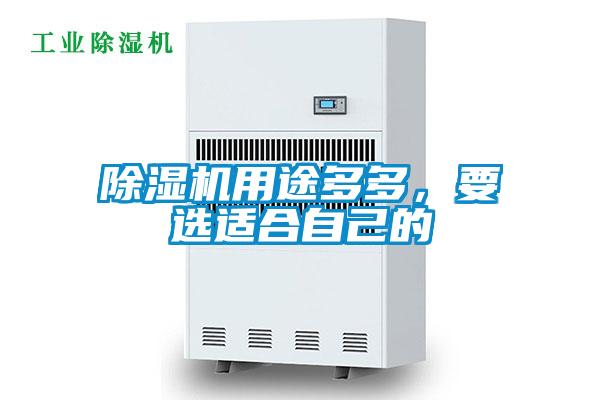 除濕機用途多多，要選適合自己的