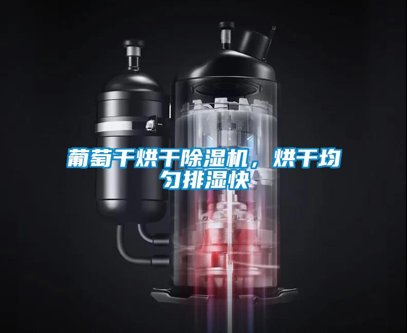 葡萄干烘干除濕機(jī)，烘干均勻排濕快