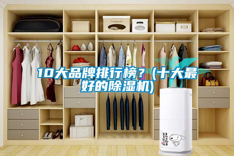 10大品牌排行榜？(十大最好的除濕機(jī))