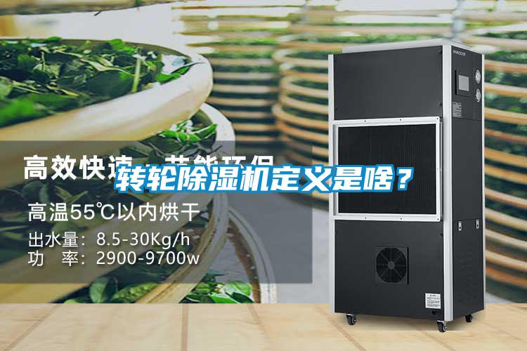 轉(zhuǎn)輪除濕機定義是啥？
