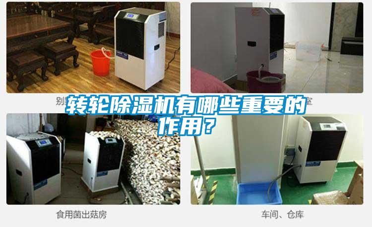 轉(zhuǎn)輪除濕機有哪些重要的作用？