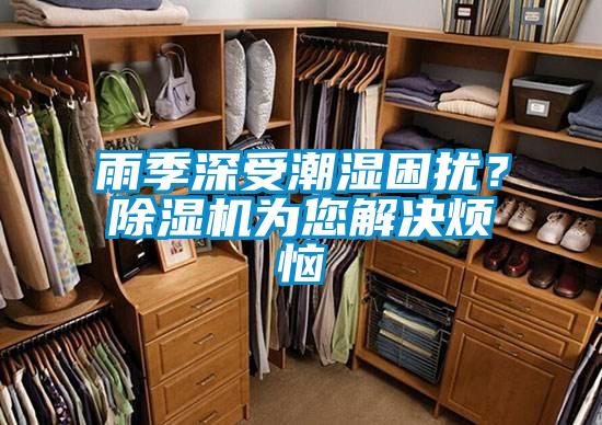 雨季深受潮濕困擾？除濕機(jī)為您解決煩惱