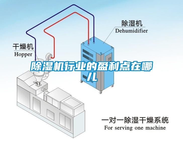 除濕機(jī)行業(yè)的盈利點(diǎn)在哪兒