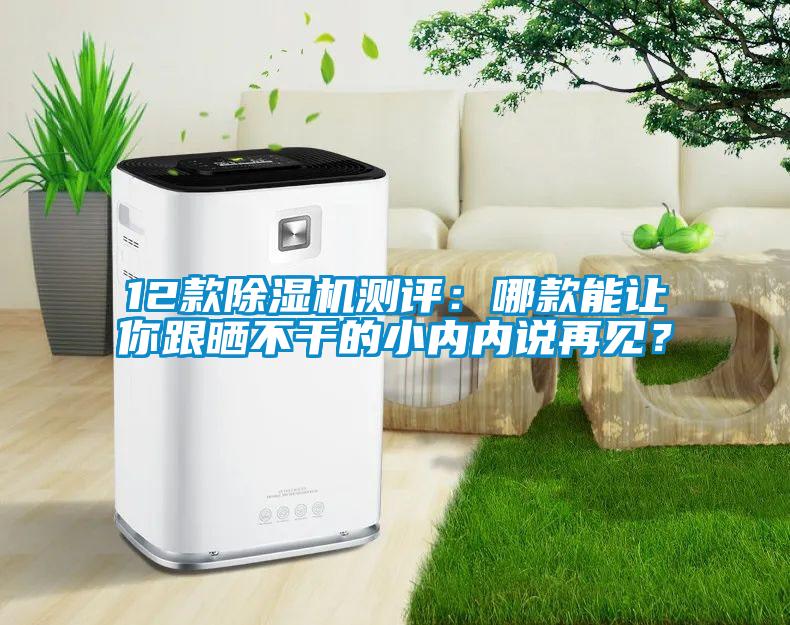 12款除濕機(jī)測(cè)評(píng)：哪款能讓你跟曬不干的小內(nèi)內(nèi)說(shuō)再見(jiàn)？