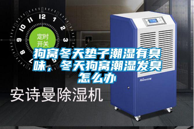 狗窩冬天墊子潮濕有臭味，冬天狗窩潮濕發(fā)臭怎么辦