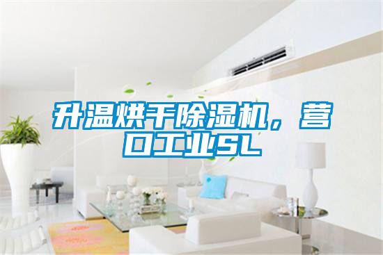 升溫烘干除濕機(jī)，營(yíng)口工業(yè)SL