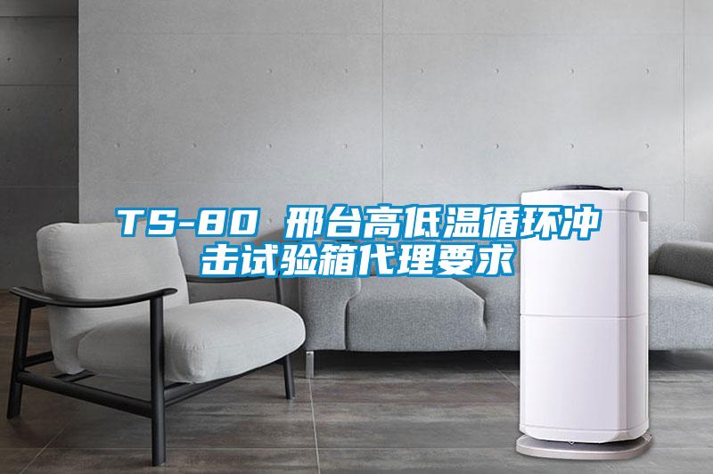 TS-80 邢臺高低溫循環(huán)沖擊試驗箱代理要求