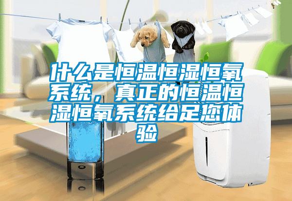 什么是恒溫恒濕恒氧系統(tǒng)，真正的恒溫恒濕恒氧系統(tǒng)給足您體驗