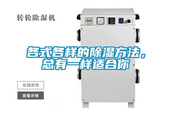 各式各樣的除濕方法，總有一樣適合你