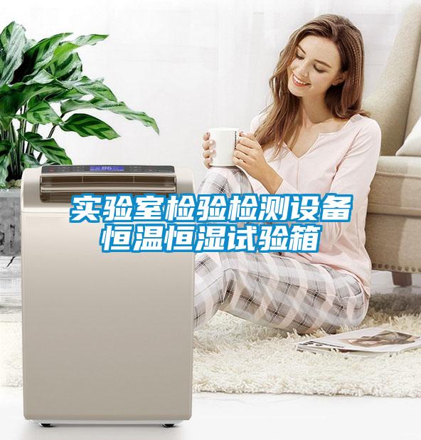 實(shí)驗(yàn)室檢驗(yàn)檢測設(shè)備恒溫恒濕試驗(yàn)箱