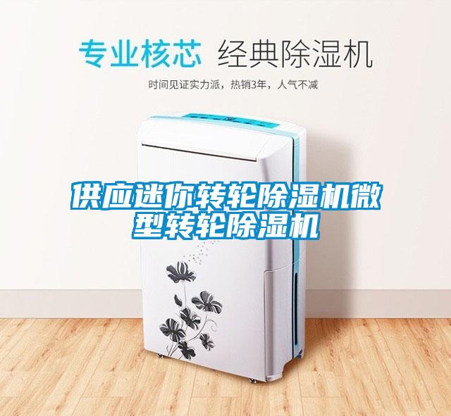 供應(yīng)迷你轉(zhuǎn)輪除濕機微型轉(zhuǎn)輪除濕機
