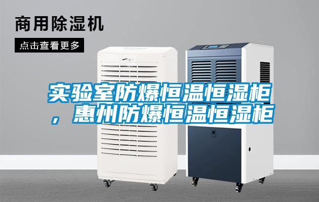 實驗室防爆恒溫恒濕柜，惠州防爆恒溫恒濕柜