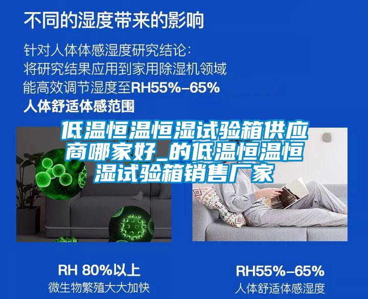 低溫恒溫恒濕試驗箱供應(yīng)商哪家好_的低溫恒溫恒濕試驗箱銷售廠家