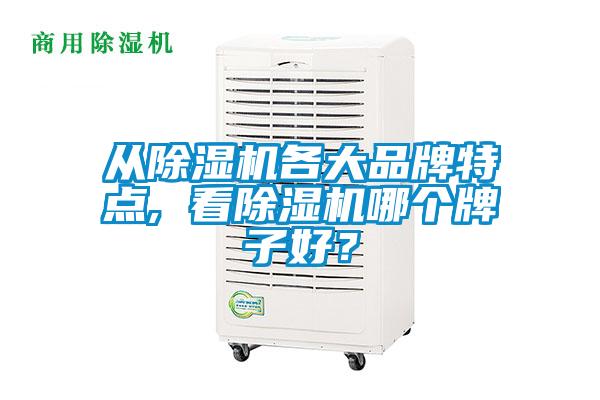 從除濕機(jī)各大品牌特點(diǎn), 看除濕機(jī)哪個(gè)牌子好？