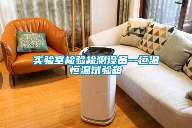 實驗室檢驗檢測設(shè)備--恒溫恒濕試驗箱