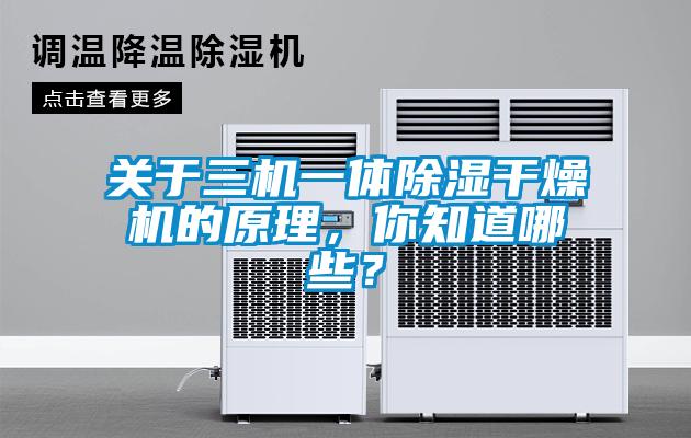 關(guān)于三機一體除濕干燥機的原理，你知道哪些？