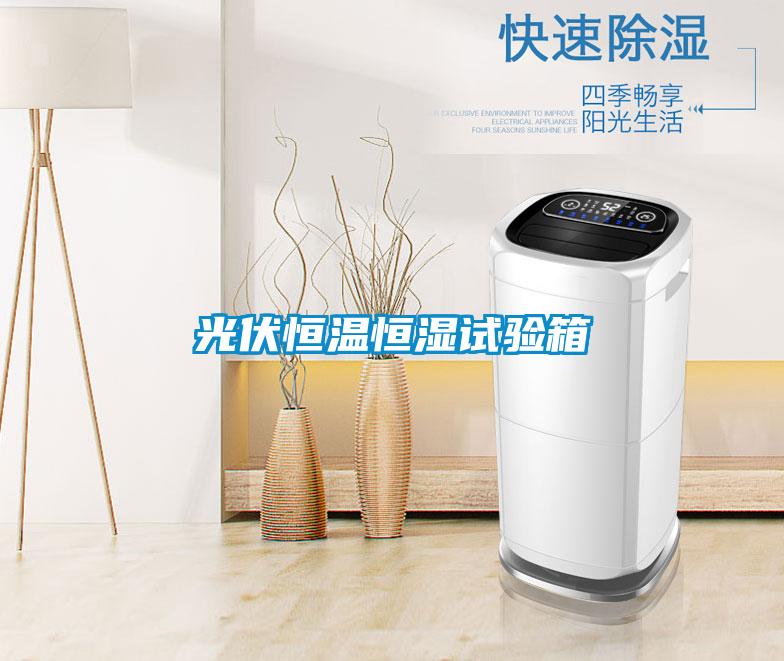光伏恒溫恒濕試驗(yàn)箱