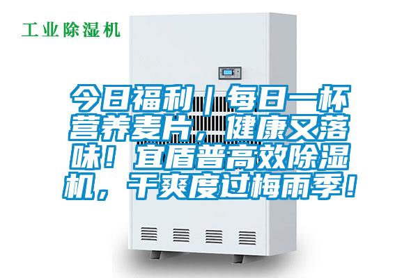 今日福利｜每日一杯營(yíng)養(yǎng)麥片，健康又落味！宜盾普高效除濕機(jī)，干爽度過梅雨季！