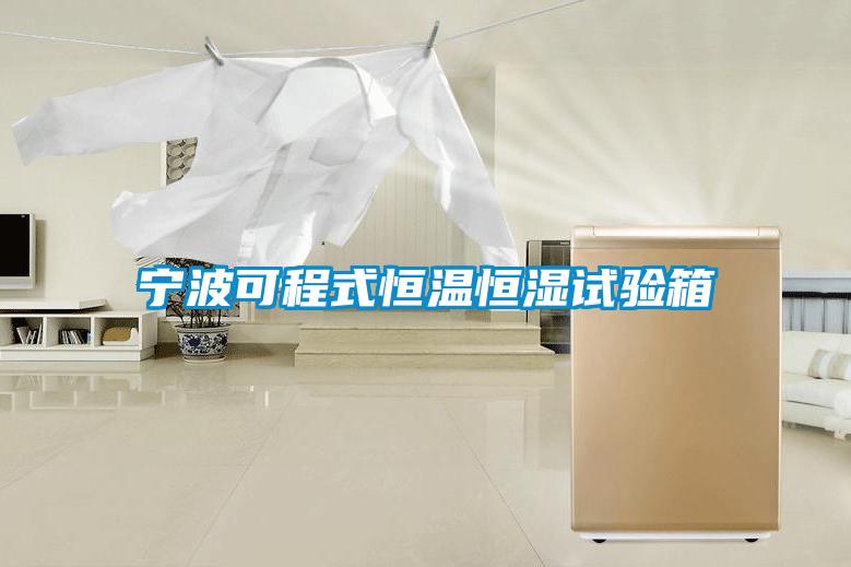 寧波可程式恒溫恒濕試驗(yàn)箱