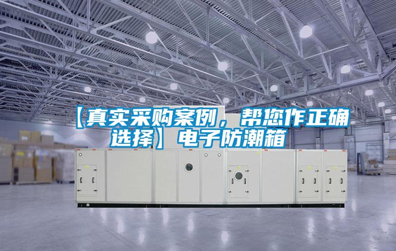 【真實(shí)采購(gòu)案例，幫您作正確選擇】電子防潮箱