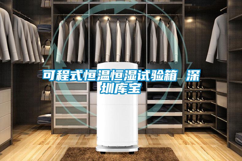 可程式恒溫恒濕試驗(yàn)箱 深圳庫寶