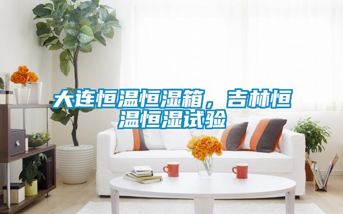 大連恒溫恒濕箱，吉林恒溫恒濕試驗(yàn)
