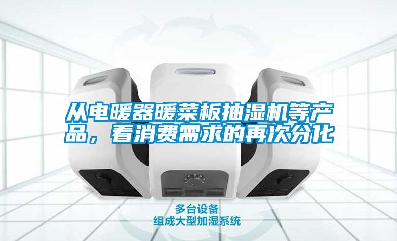 從電暖器暖菜板抽濕機等產(chǎn)品，看消費需求的再次分化