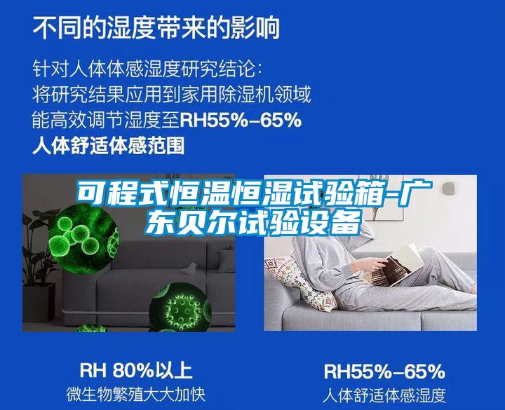 可程式恒溫恒濕試驗(yàn)箱-廣東貝爾試驗(yàn)設(shè)備