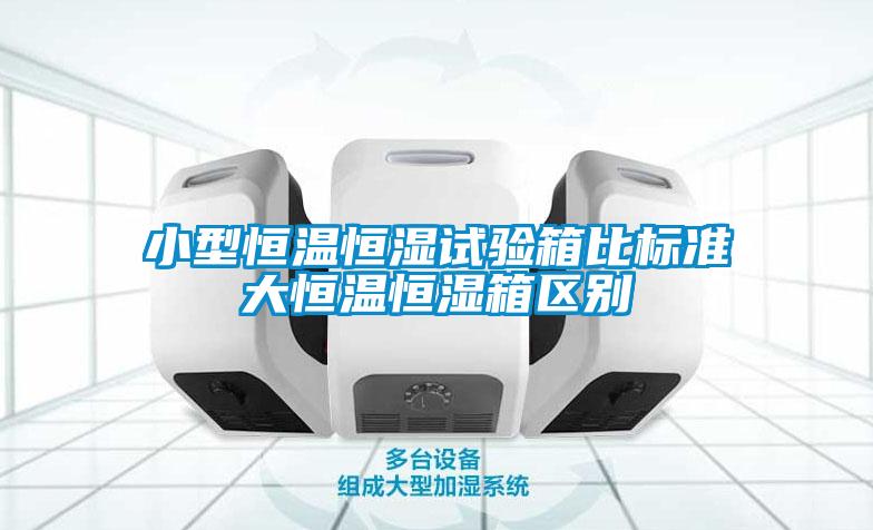 小型恒溫恒濕試驗箱比標準大恒溫恒濕箱區(qū)別