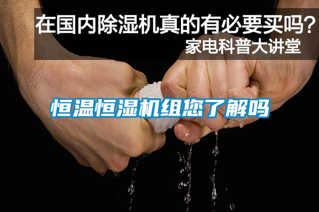 恒溫恒濕機(jī)組您了解嗎