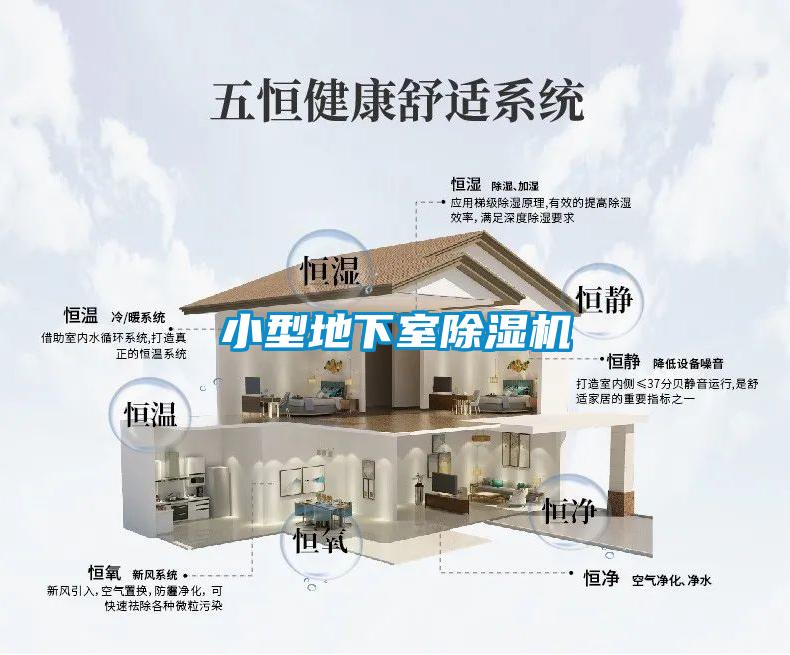 小型地下室除濕機(jī)