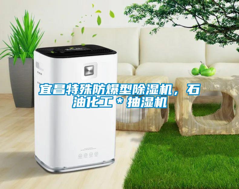 宜昌特殊防爆型除濕機，石油化工＊抽濕機