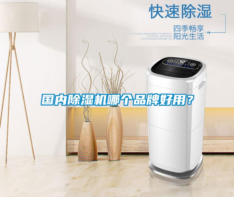 國(guó)內(nèi)除濕機(jī)哪個(gè)品牌好用？
