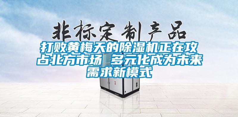 打敗黃梅天的除濕機(jī)正在攻占北方市場(chǎng) 多元化成為未來(lái)需求新模式